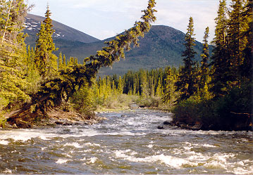 Aishihik River