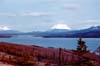 Little Atlin Lake - Southern End