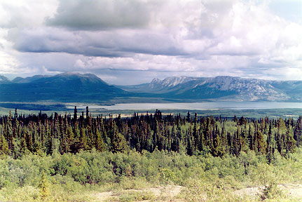 Little Atlin Lake - North End