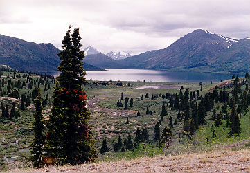 Alligator Lake - Near Whitehorse