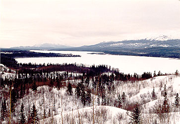 Little Atlin Lake - Frozen Solid